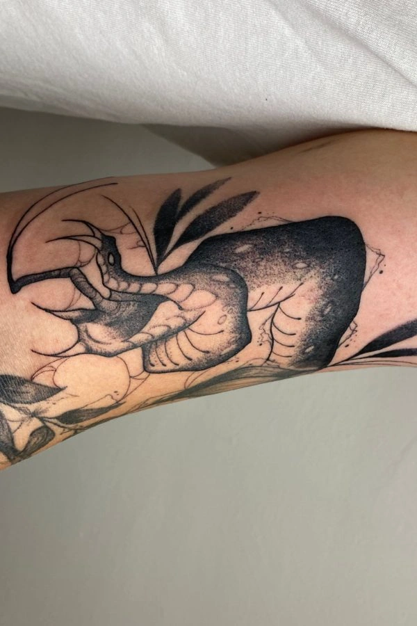 Blackwork dotwork tetování od Teda – TX5 Olomouc, ukázka 2